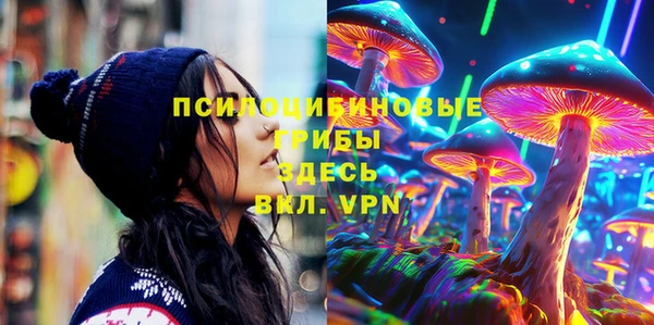 стаф Белоозёрский