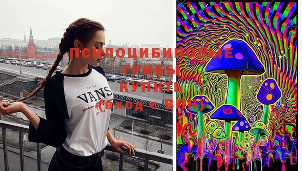 а пвп мука Белокуриха