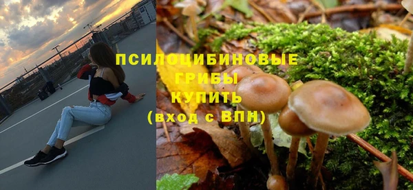 стаф Белоозёрский