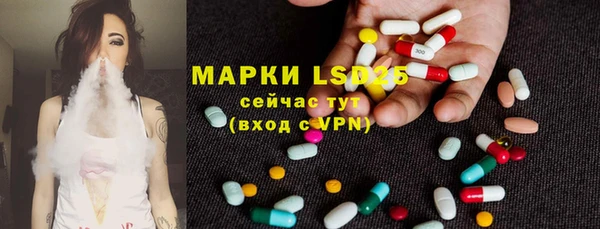 PSILOCYBIN Беломорск