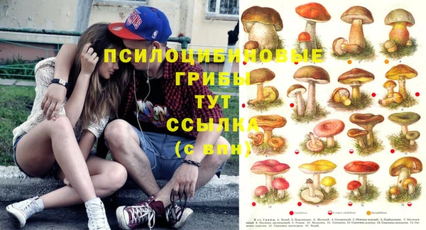 а пвп мука Белокуриха