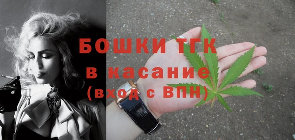 стаф Белоозёрский