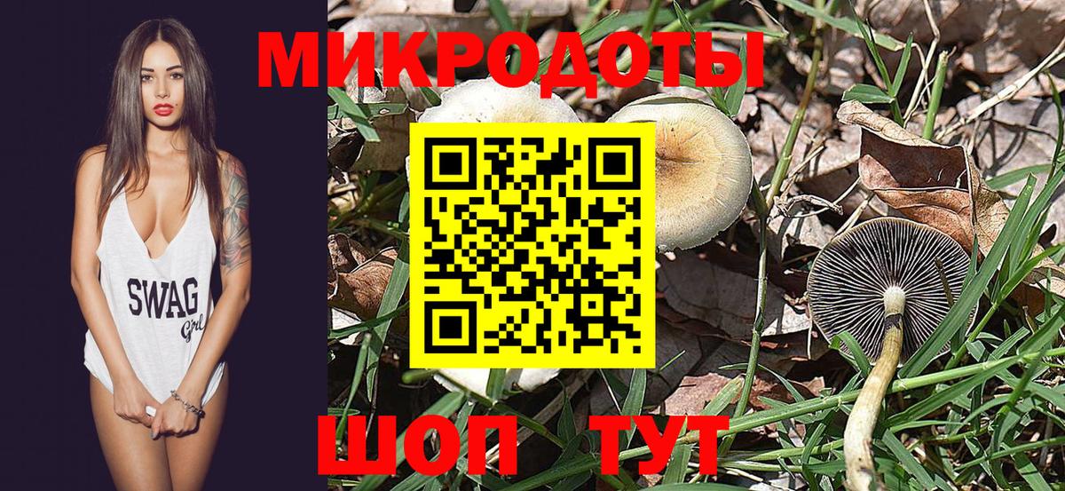 Псилоцибиновые грибы GOLDEN TEACHER Вятские Поляны